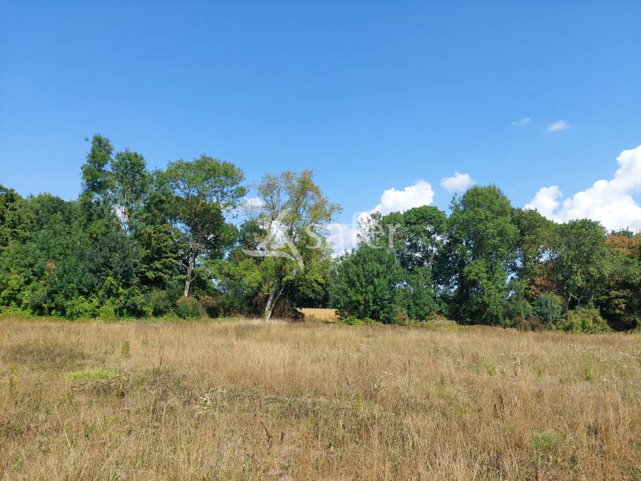 Explotación hortensa En venta Charente Marítimo