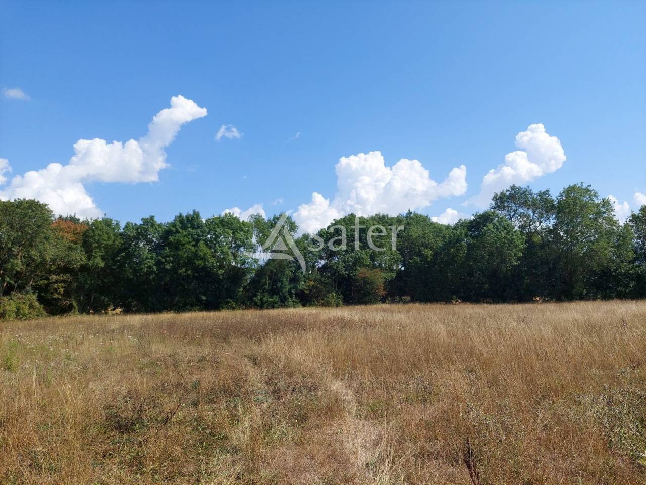 Explotación hortensa En venta Charente Marítimo