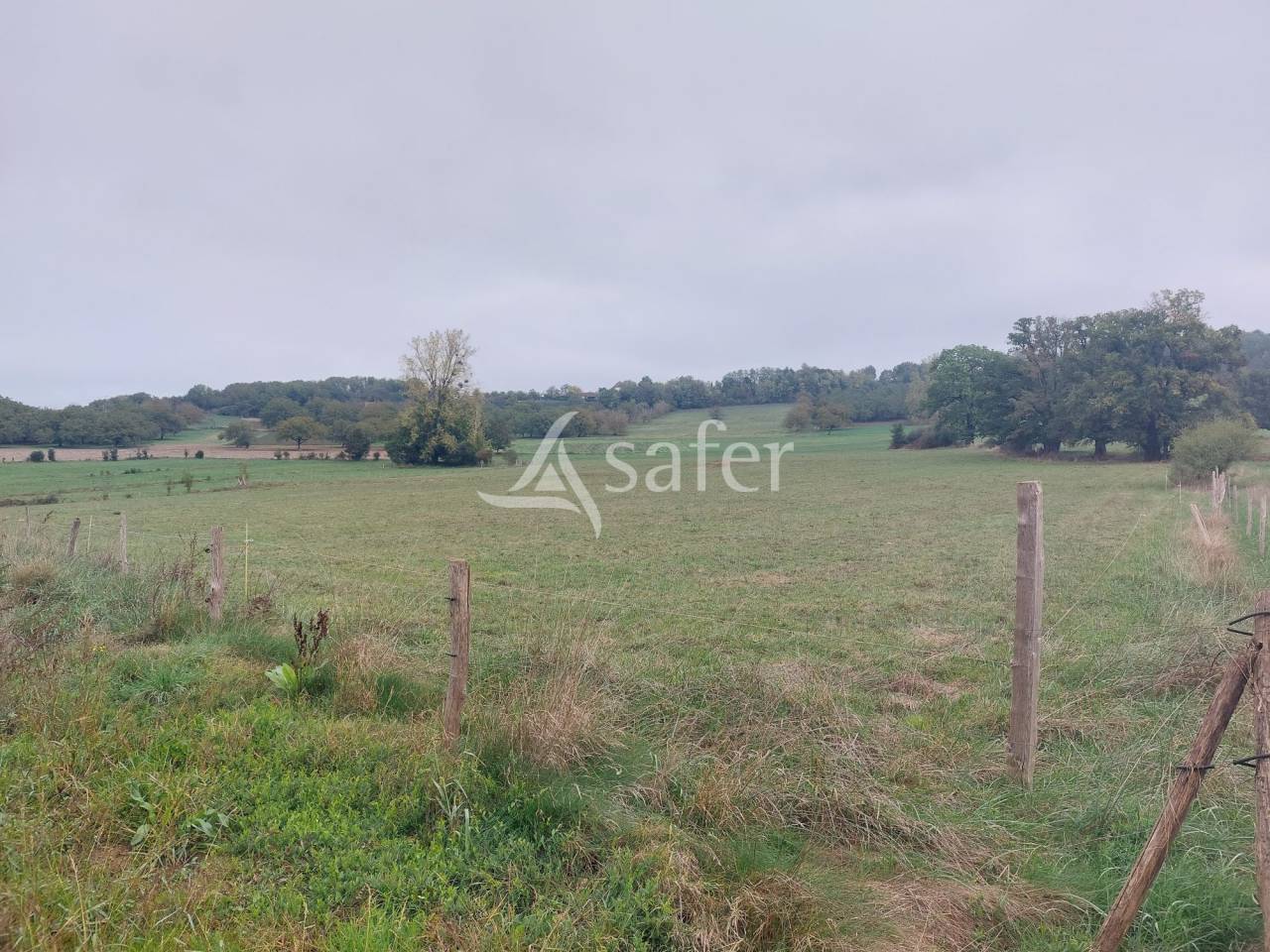 Explotación ovina En venta Dordoña