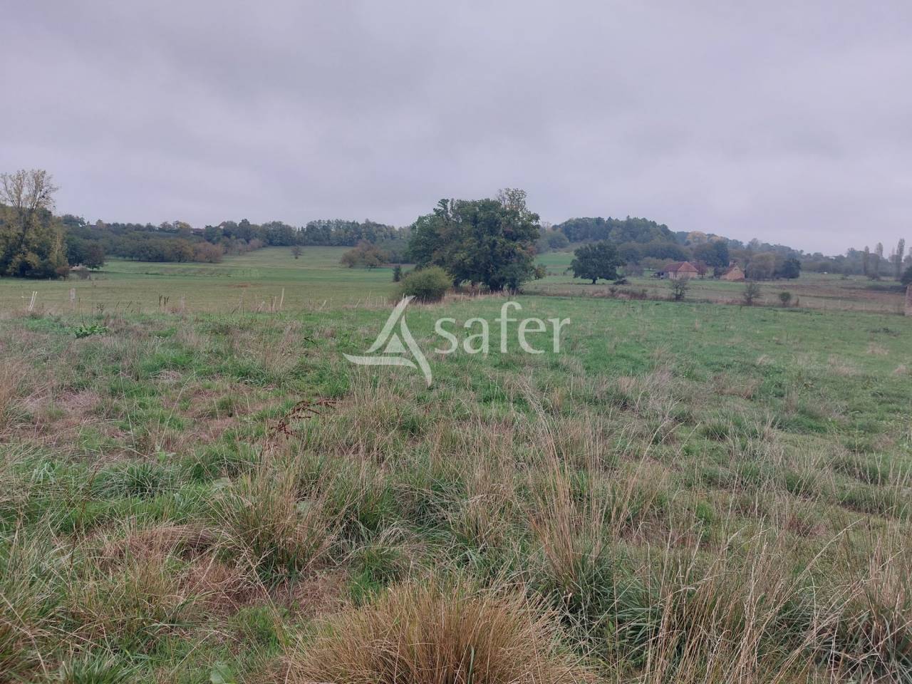 Explotación ovina En venta Dordoña