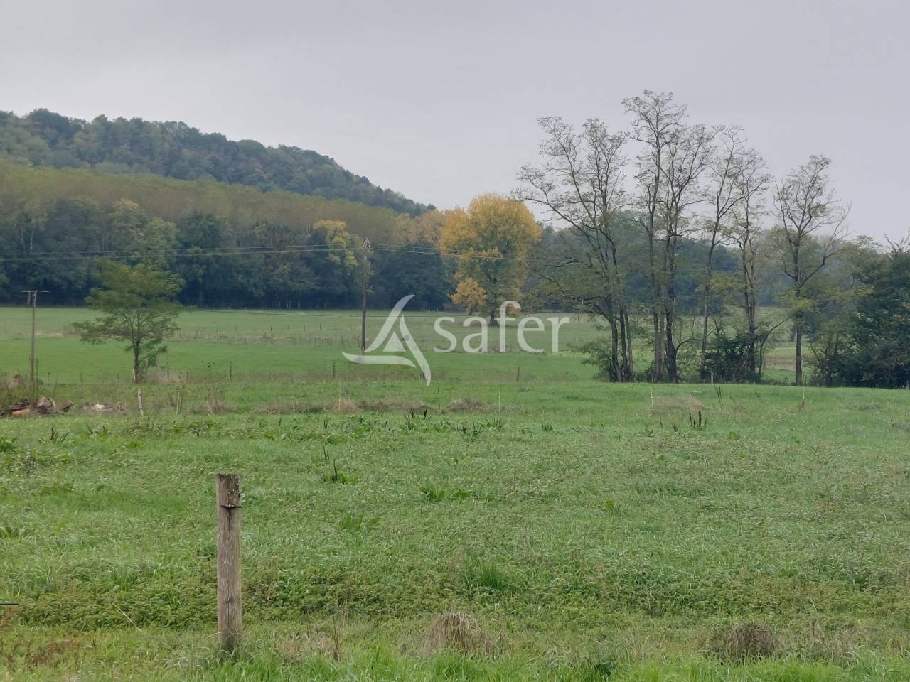 Explotación ovina En venta Dordoña