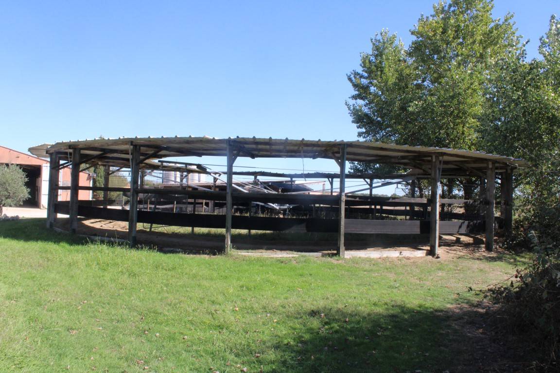 Propiedad ecuestre En venta Alto Garona