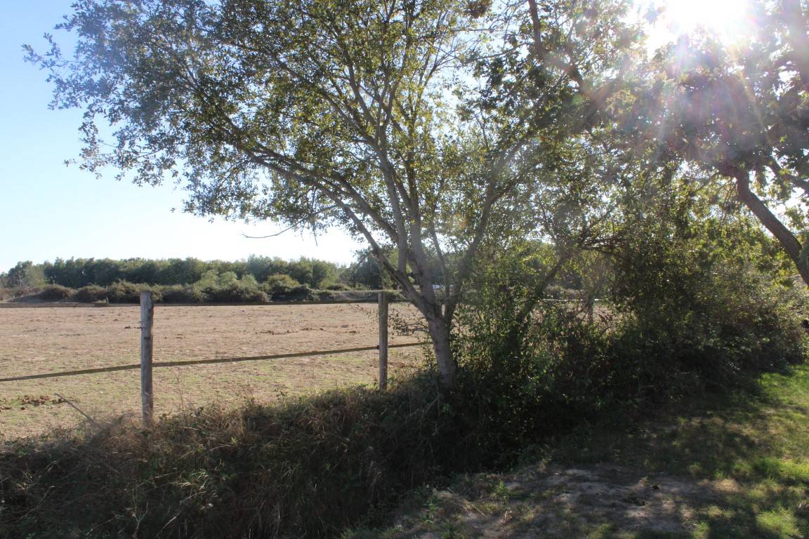 Propiedad ecuestre En venta Alto Garona