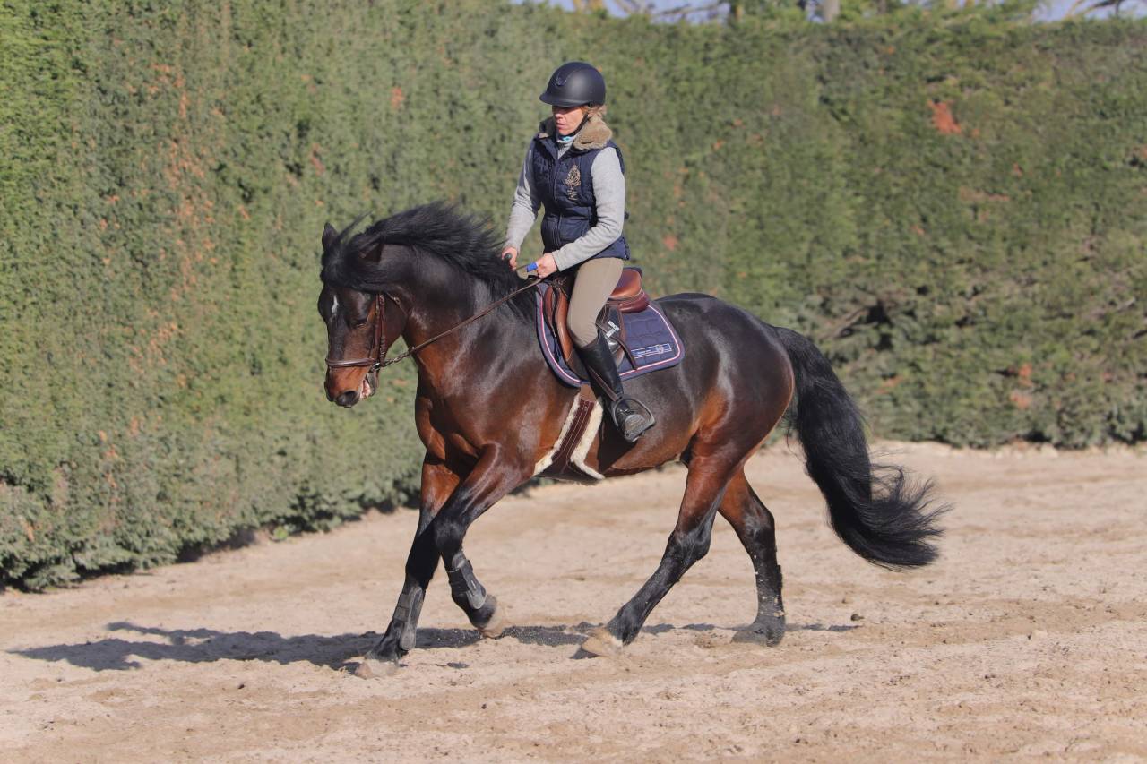 Cleggan's Boy de Coux - Connemara 2012 por Village sparrow