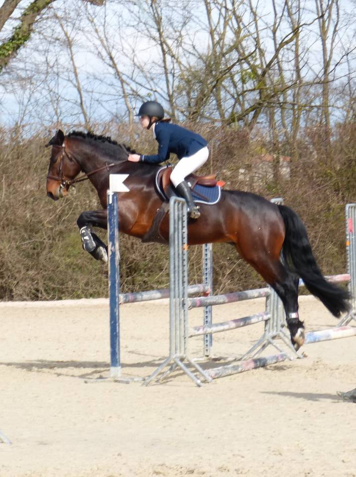 Cleggan's Boy de Coux - Connemara 2012 por Village sparrow