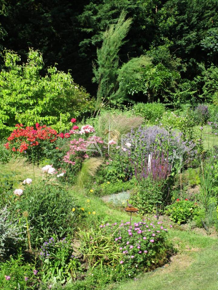 Explotación arborícola En venta Dordoña