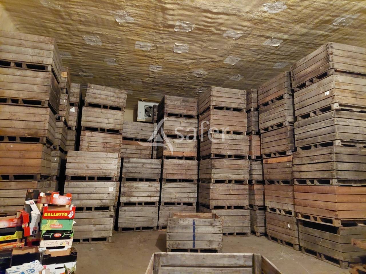 Explotación arborícola En venta Dordoña