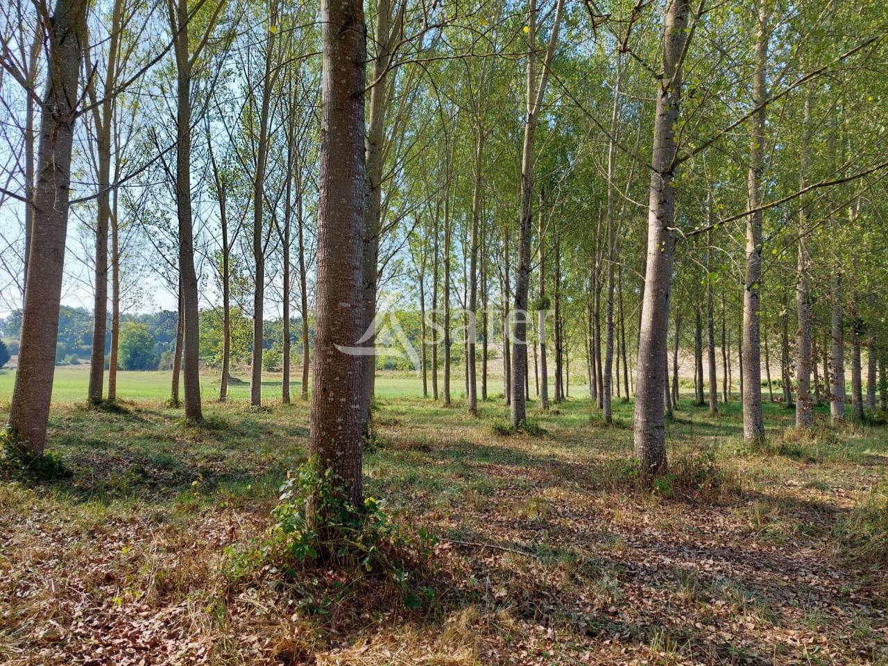 Explotación arborícola En venta Dordoña