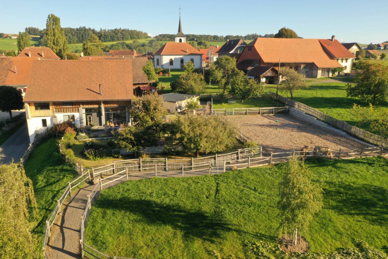 Granja ecuestre En venta Vaud