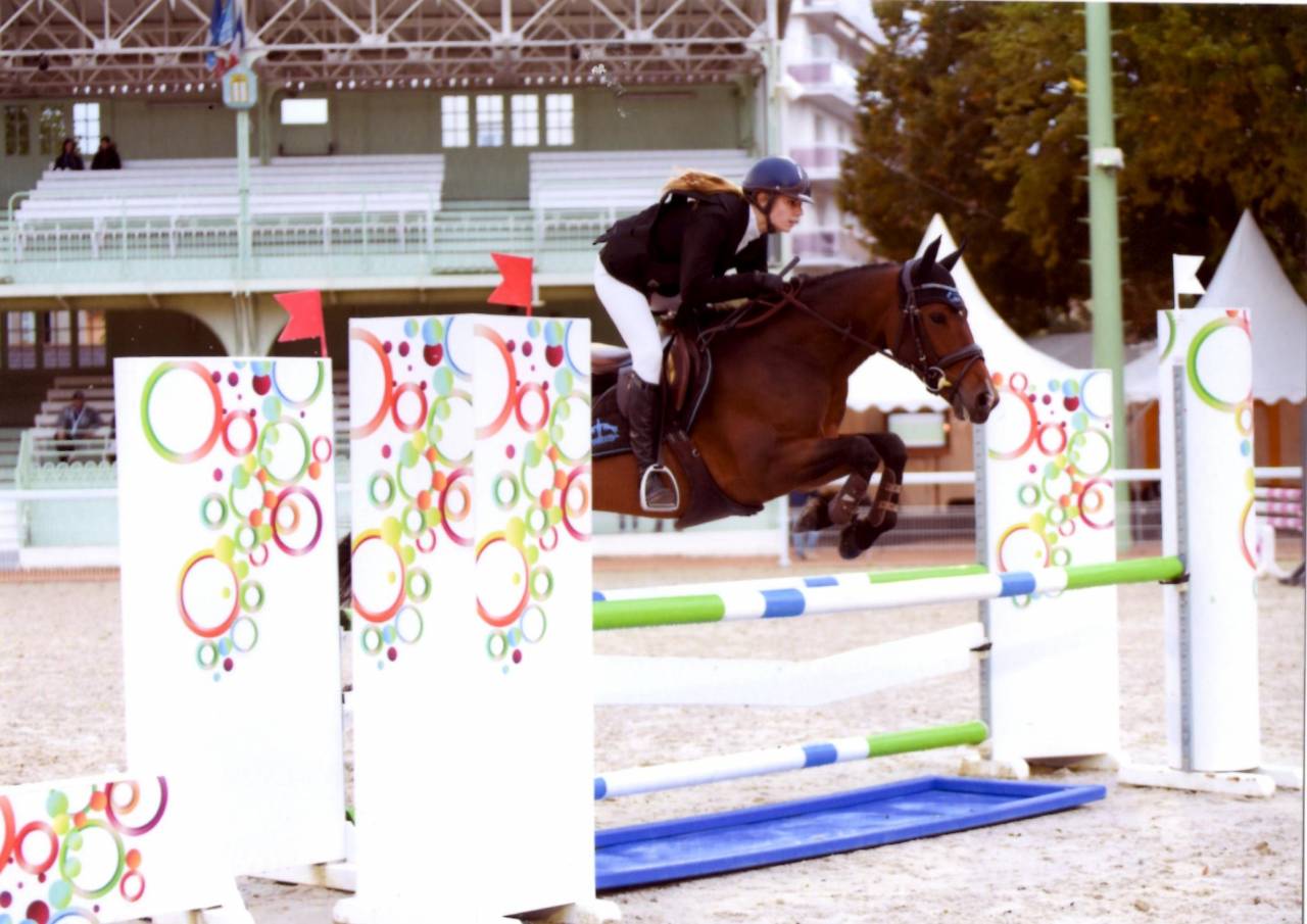 Caballo castrado PFS Poni Françés de Silla En venta 2013 Bayo por NINIO DE ROX