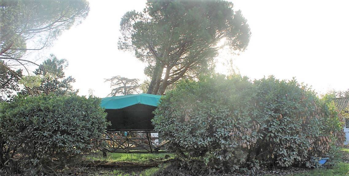 Propiedad ecuestre En venta Tarn y Garona