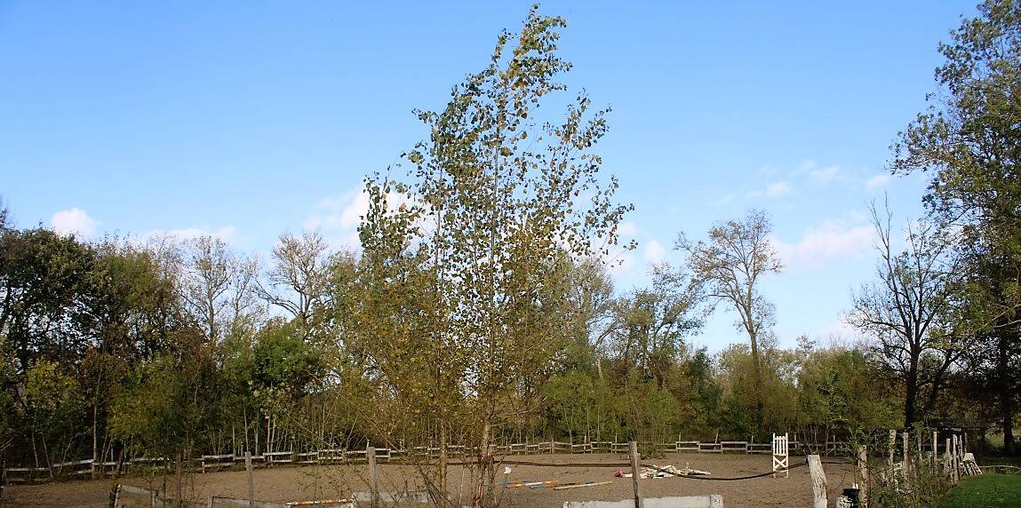 Propiedad ecuestre En venta Tarn y Garona