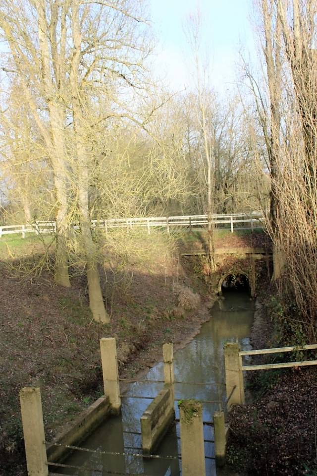 Propiedad ecuestre En venta Tarn y Garona