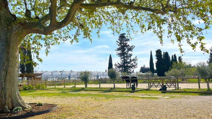 Propiedad ecuestre En venta Vaucluse