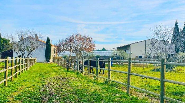 Propiedad ecuestre En venta Vaucluse