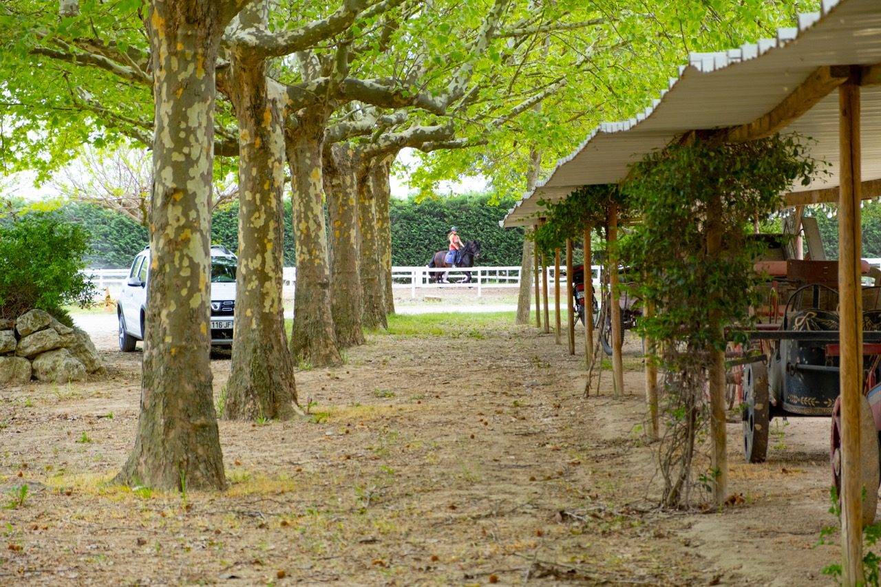 Propiedad ecuestre En venta Vaucluse