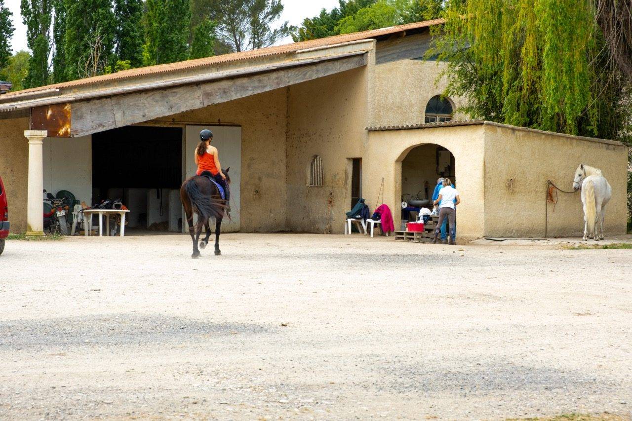 Propiedad ecuestre En venta Vaucluse