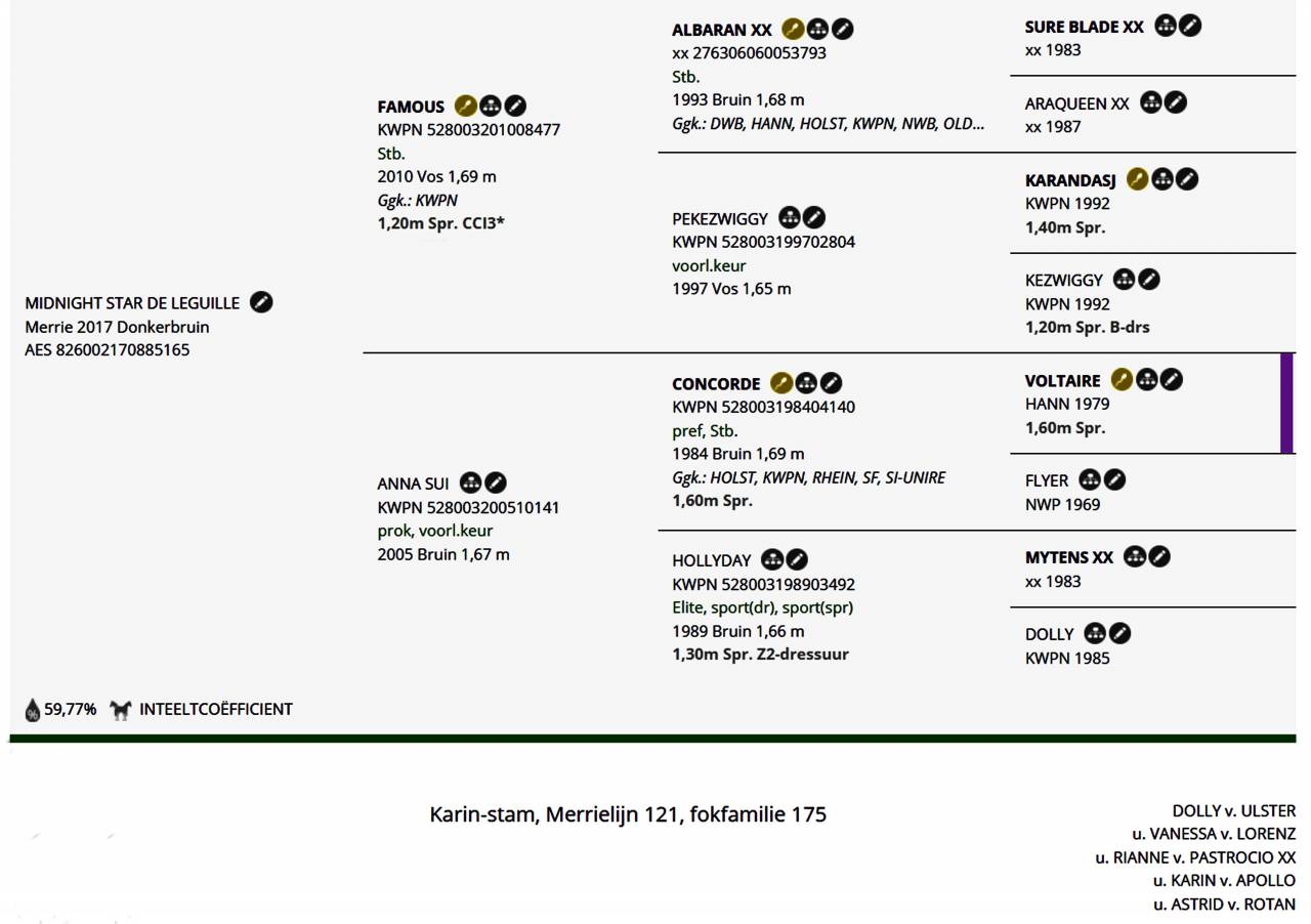 Yegua KWPN Caballo de Deporte Neerlandés En venta 2017 Bayo