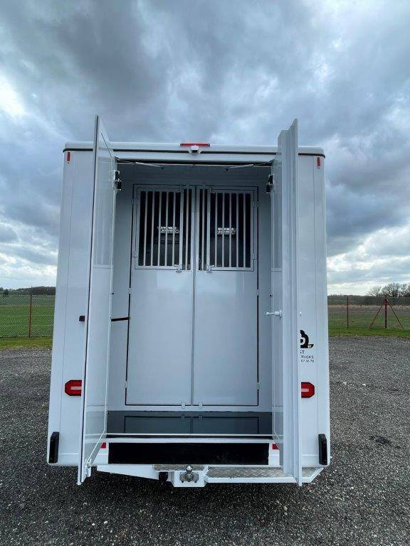 Furgoneta para caballos Renault Master 2023 Nuevo