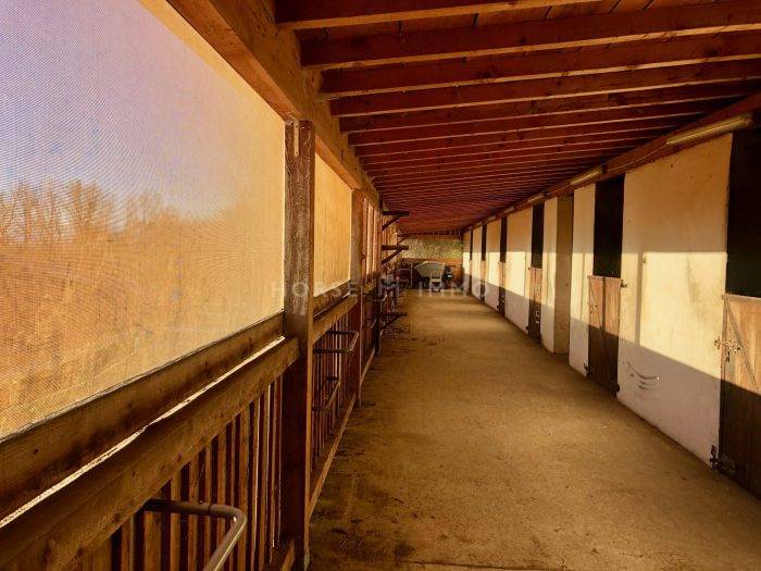 Acaballadero En venta Alta Saboya