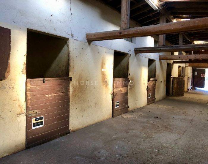 Acaballadero En venta Alta Saboya