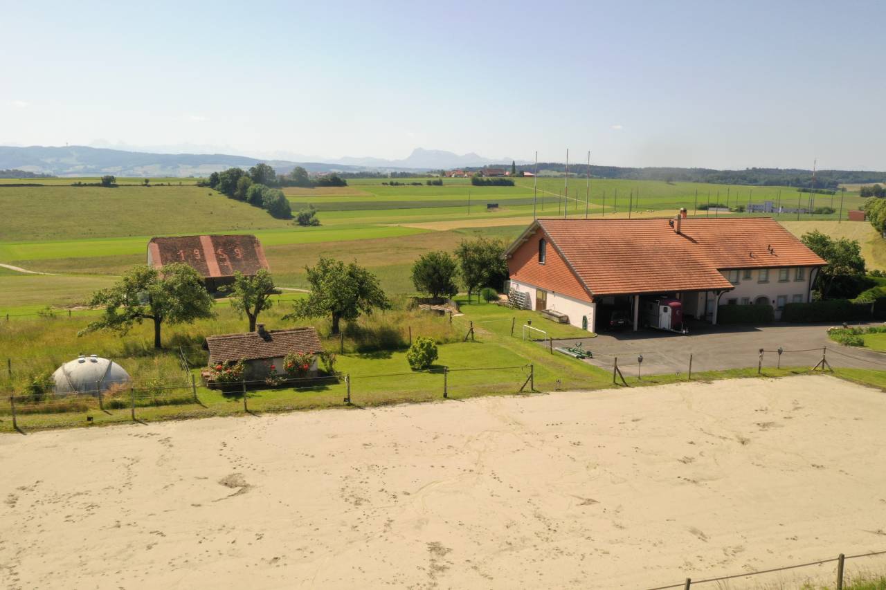 Granja ecuestre En venta Friburgo