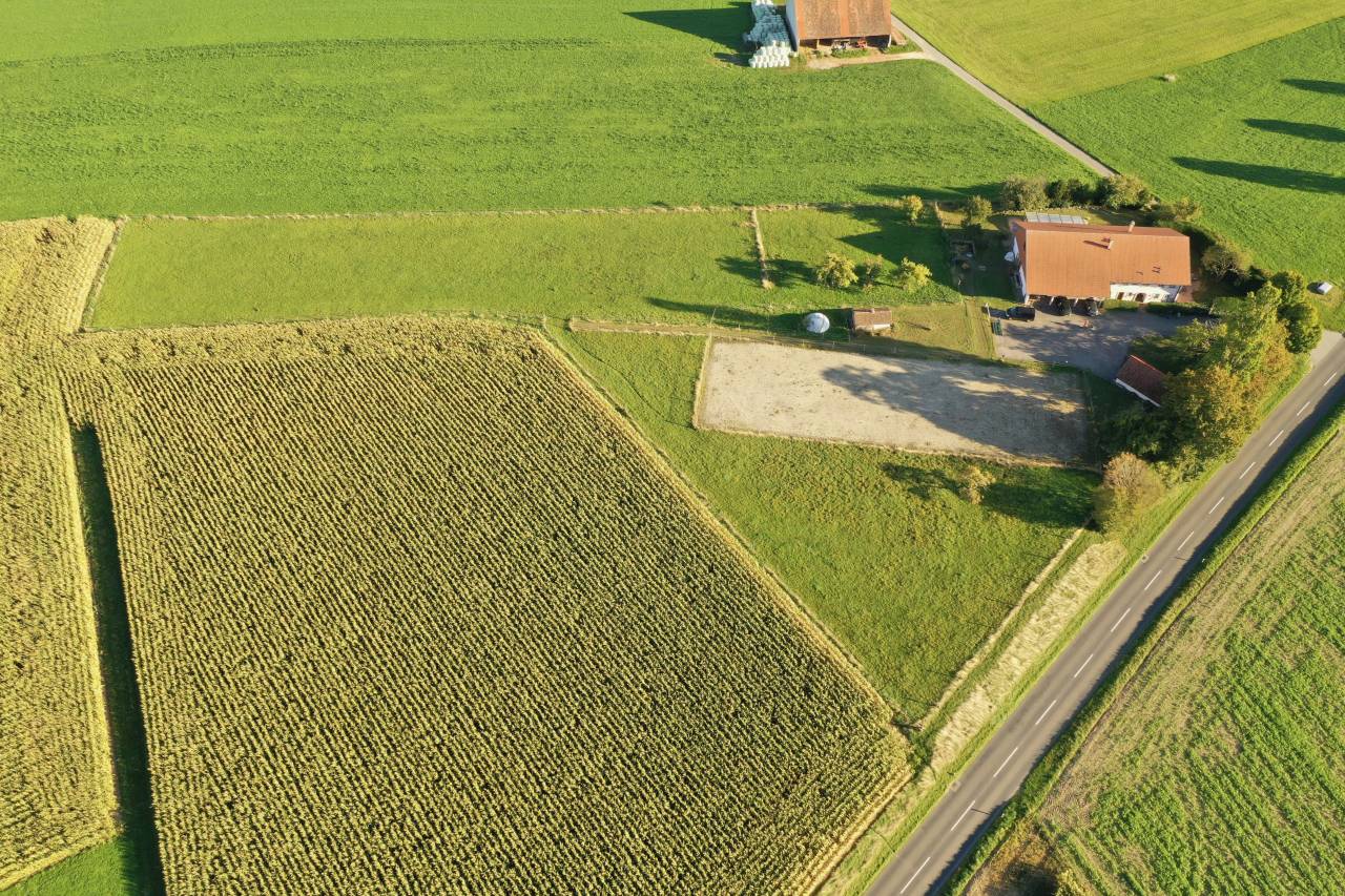 Granja ecuestre En venta Friburgo