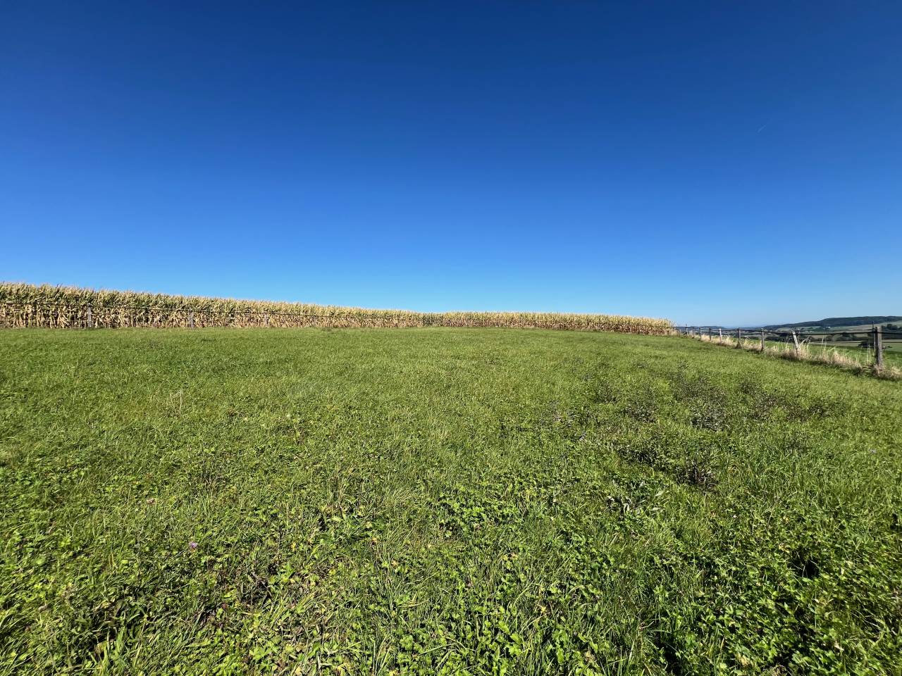 Granja ecuestre En venta Friburgo