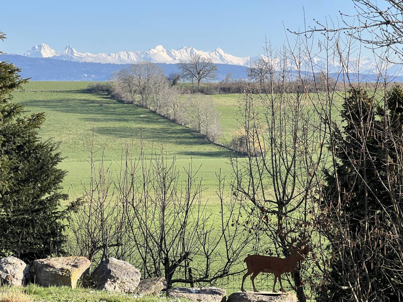 Granja ecuestre En venta Friburgo