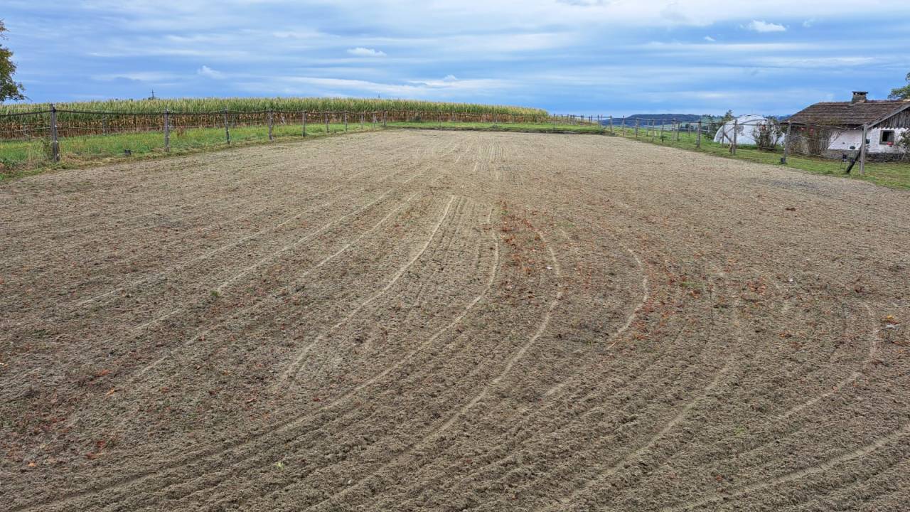 Granja ecuestre En venta Friburgo