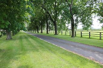 Acaballadero En venta Orne