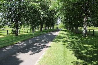 Acaballadero En venta Orne