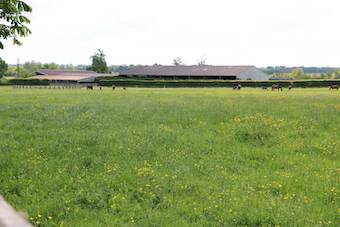 Acaballadero En venta Orne