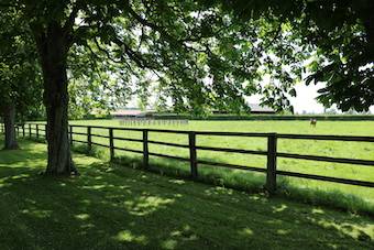 Acaballadero En venta Orne