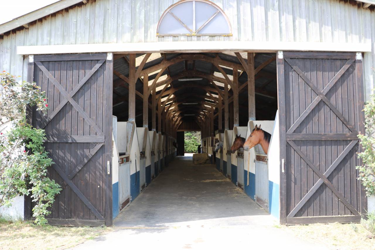 Acaballadero En venta Orne