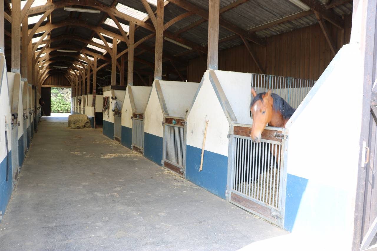 Acaballadero En venta Orne