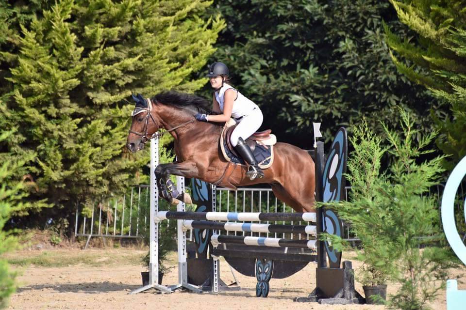 Najisco d'haryns  - PFS Poni Françés de Silla 2001 por LINARO SL