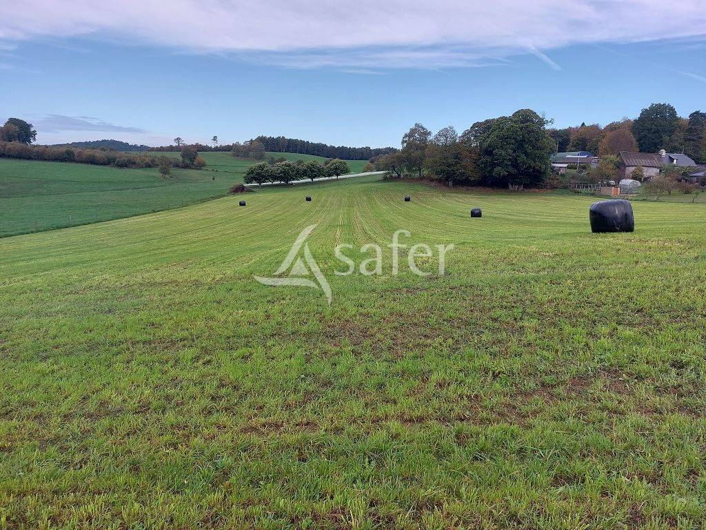 Explotación ovina En venta Corrèze