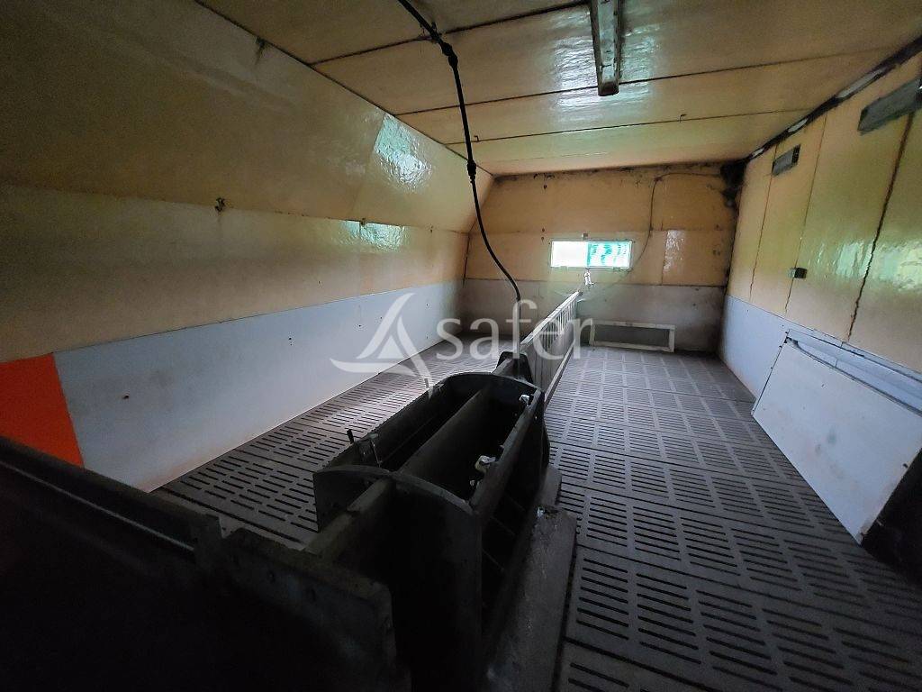 Explotación ovina En venta Corrèze