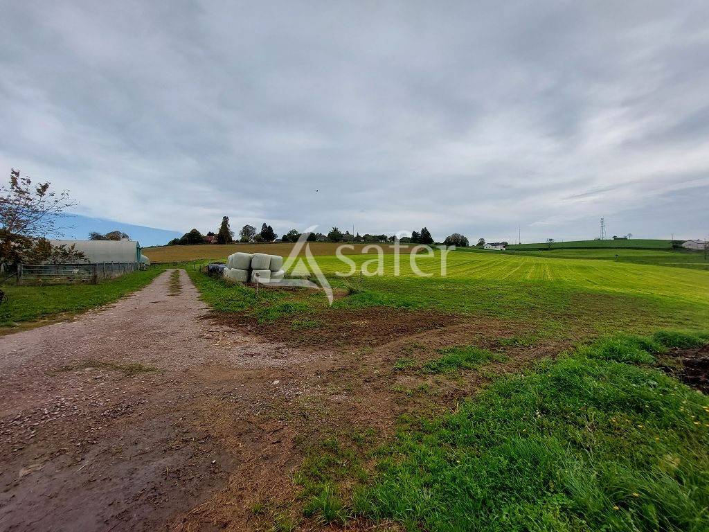 Explotación ovina En venta Corrèze