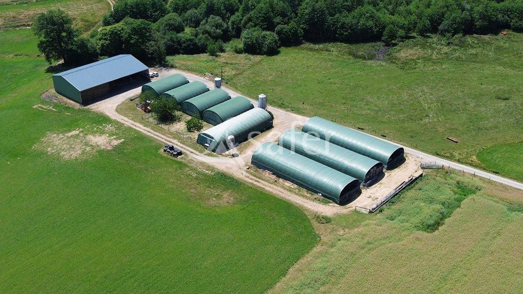 Explotación ovina En venta Corrèze