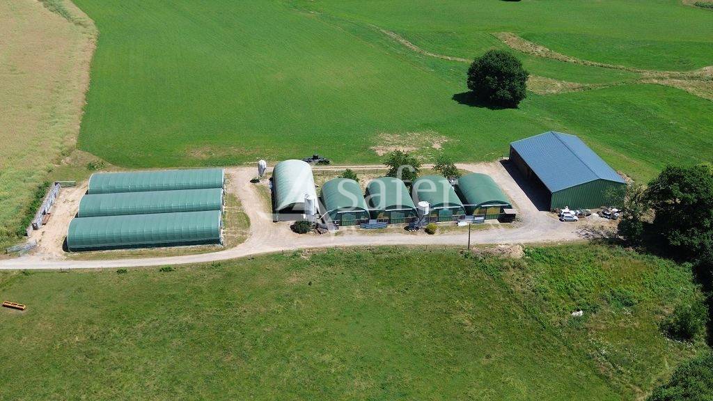 Explotación ovina En venta Corrèze