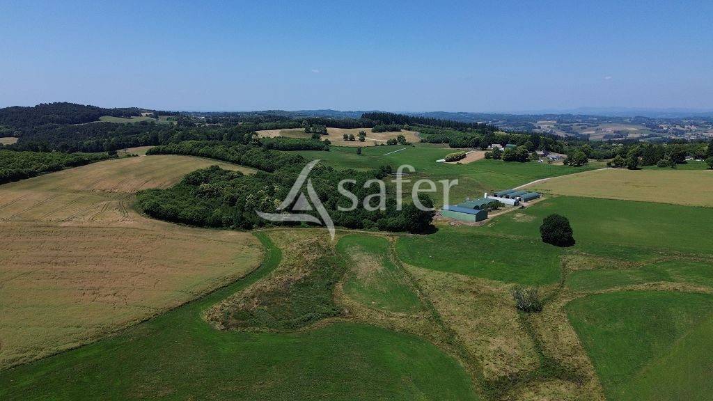 Explotación ovina En venta Corrèze