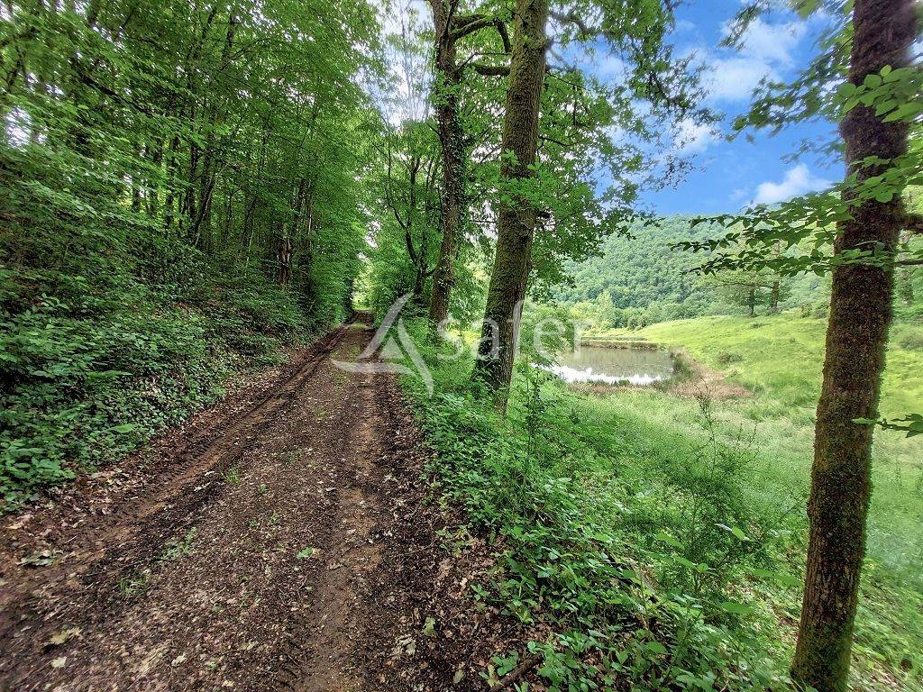 Explotación agrícola En venta Corrèze