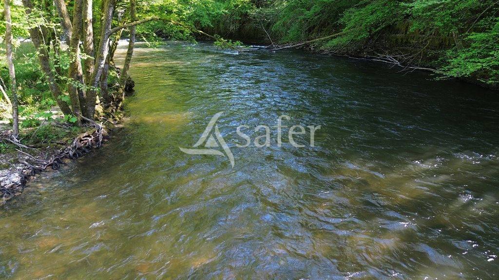 Explotación agrícola En venta Corrèze