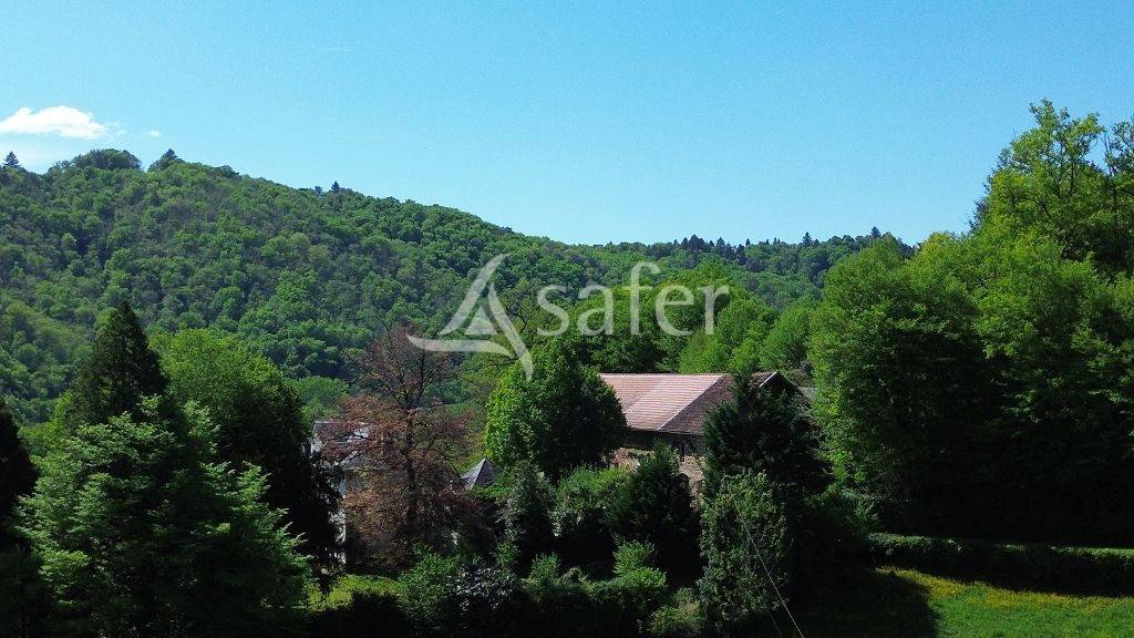 Explotaci&oacute;n agr&iacute;cola En venta Corr&egrave;ze