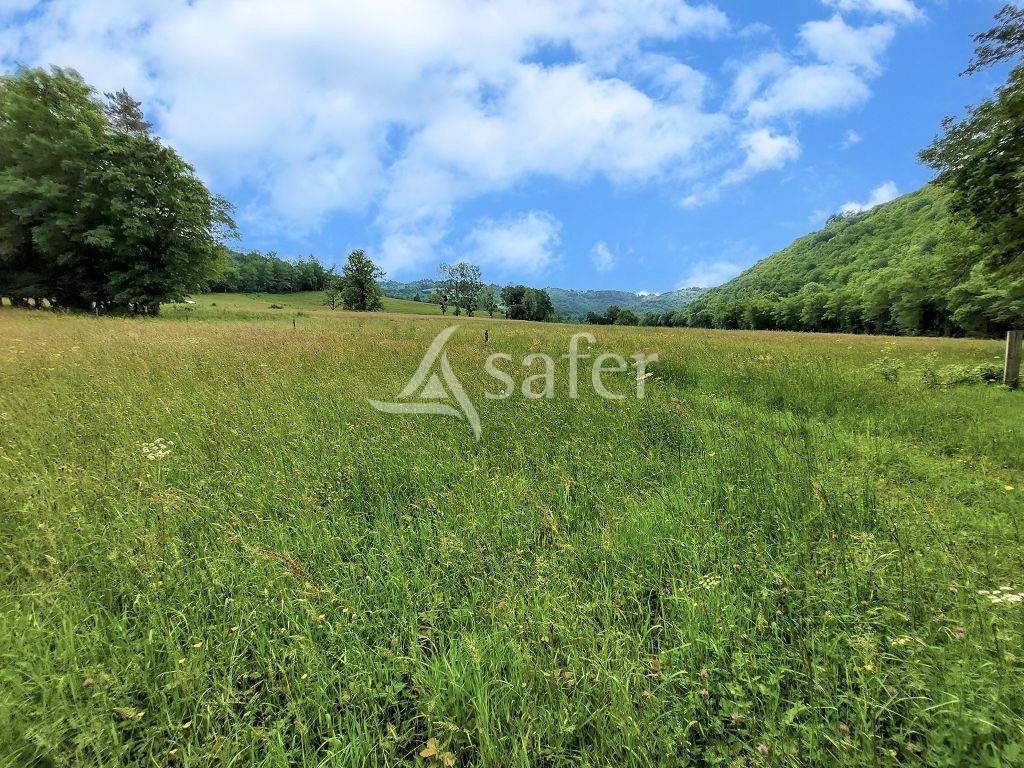 Explotaci&oacute;n agr&iacute;cola En venta Corr&egrave;ze