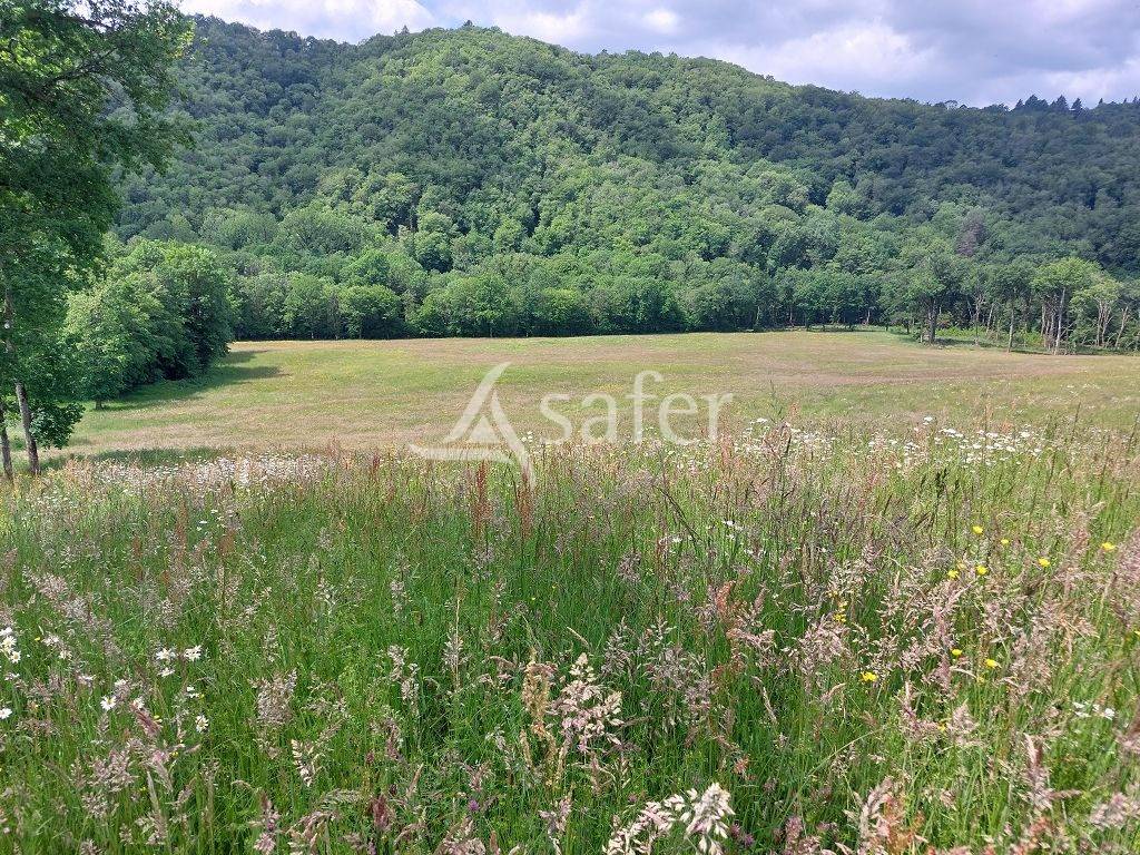 Explotaci&oacute;n agr&iacute;cola En venta Corr&egrave;ze