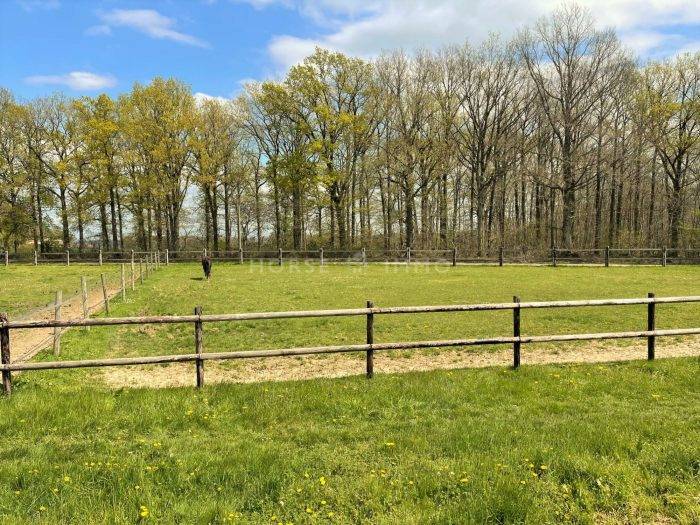 Acaballadero En venta Eure