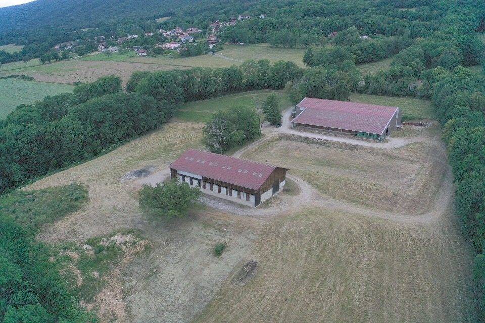 Cuadra de propietarios En venta Ain